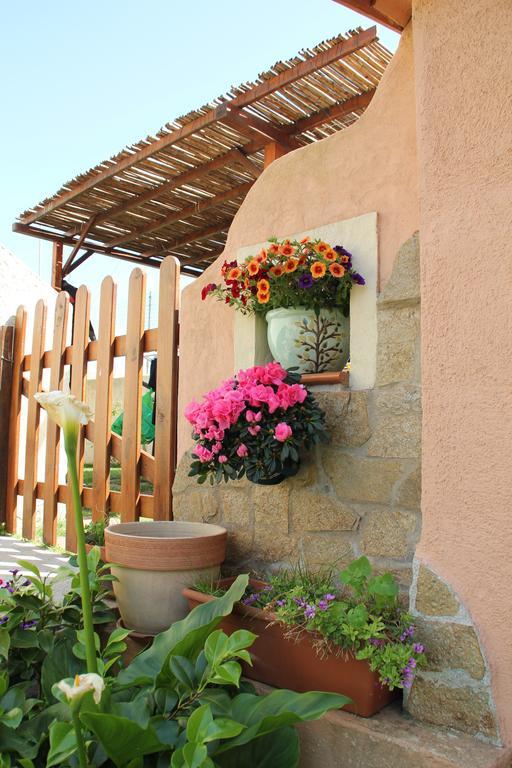 B&B La Pintadera Santa Teresa Gallura Eksteriør billede